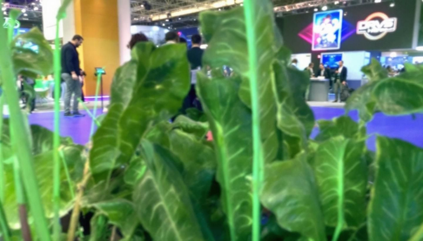 Comment les animations mobiles révolutionnent les événements en région parisienne ?